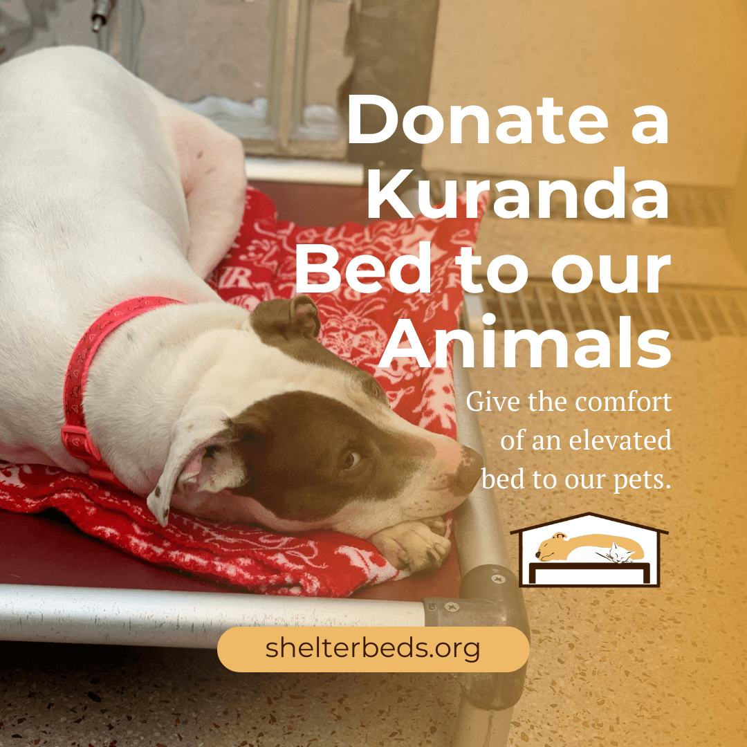 Donate a Kuranda Bed