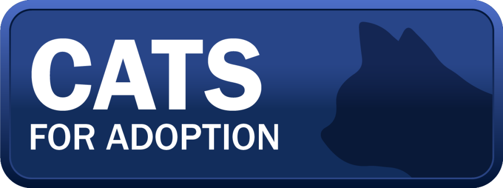 Cats for adoption button